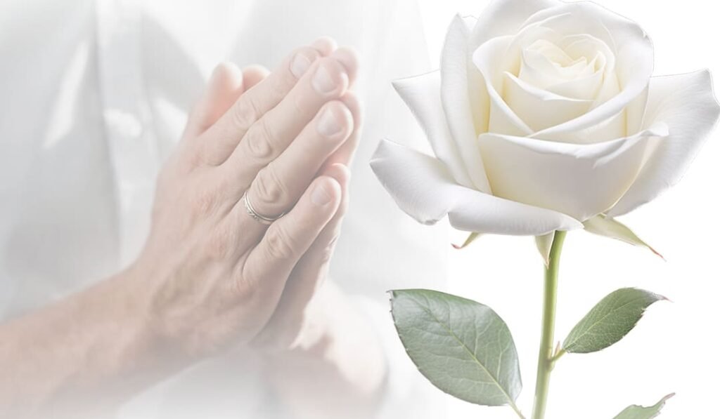 DIA DE FINADOS AAPBB 2025 BANNER BLOG